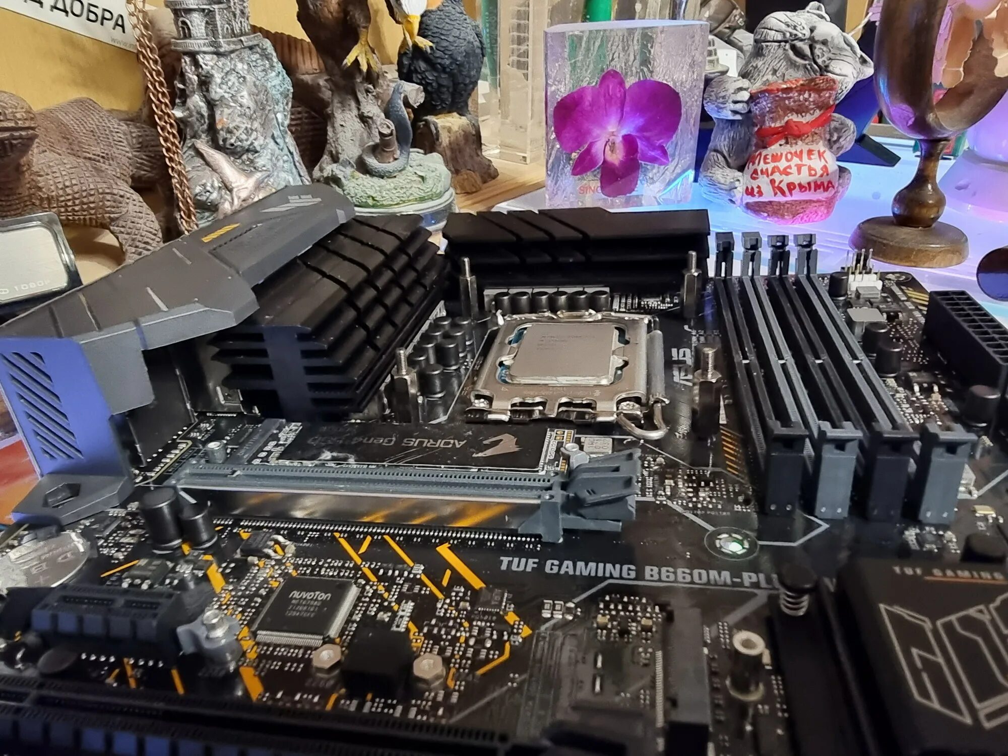 Asus tuf gaming ddr5. Asus tuf b660. asus tuf b660m-plus d4. asus tuf gaming b660m d4. tuf gaming b660-plus wifi d4.