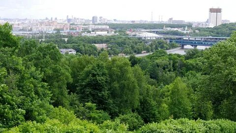 Река на территории москвы