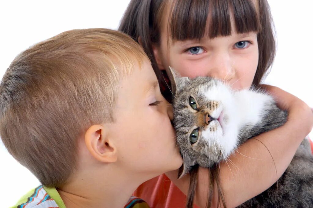 Породы кошек которые любят детей. Для детей. животные. кошка для детей. котёнок-ребёнок. домашние питомцы для детей.