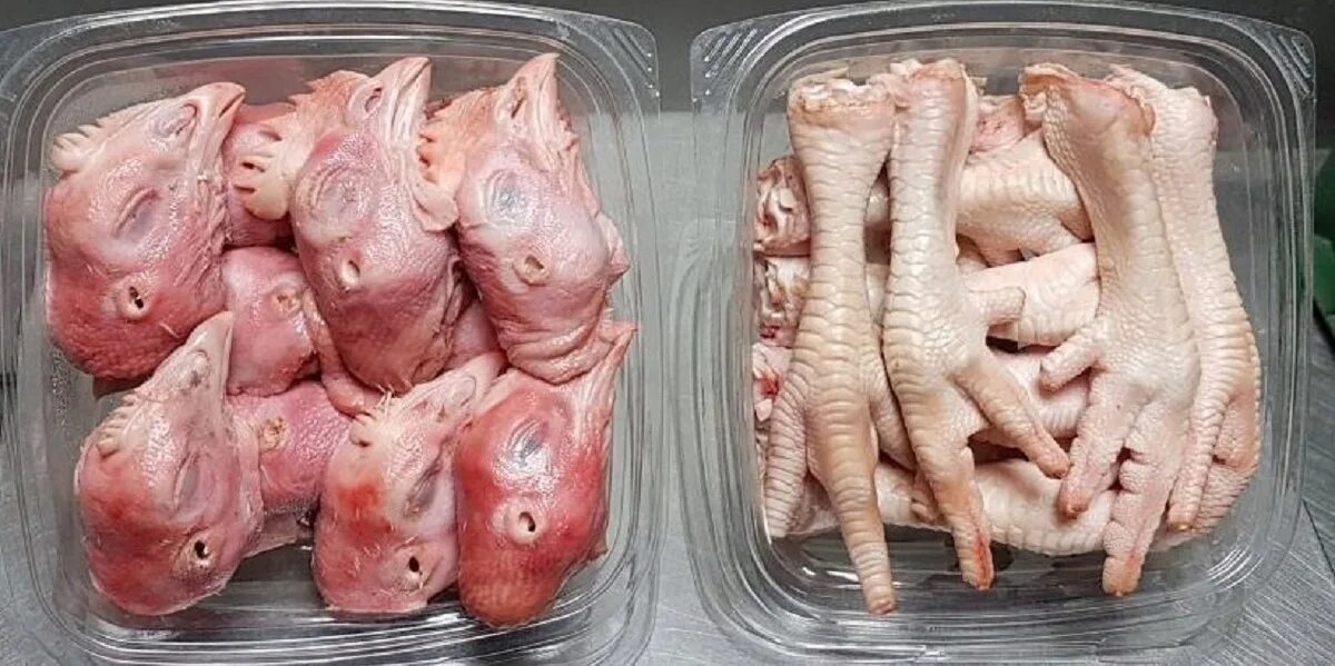 Можно ли давать собакам куриные головы. Вареные куриные головы.