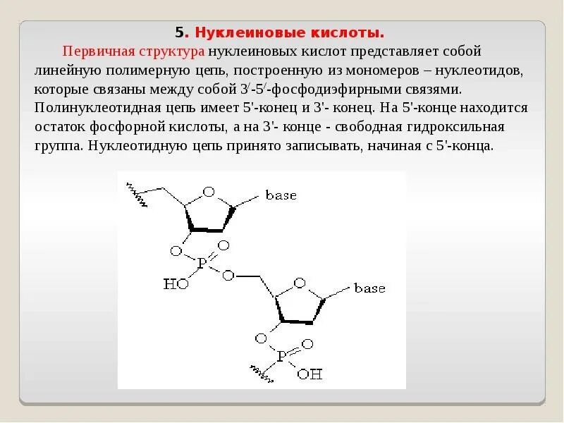 Связи в нуклеиновых кислотах. Строение нуклеиновых кислот первичная структура. Структура цепи нуклеиновых кислот. Первичная структура нуклеиновых кислот нуклеиновых кислот. Вторичная структура нуклеиновых кислот формула.