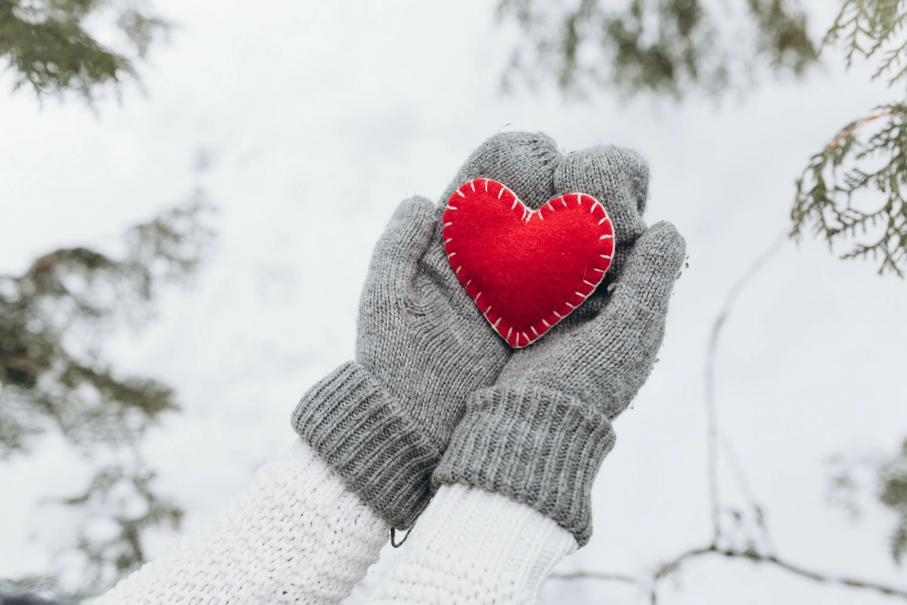 Подарить тепло сердец. Зима любовь. Руки в варежках. Варежки в снегу. Сердце зимой.
