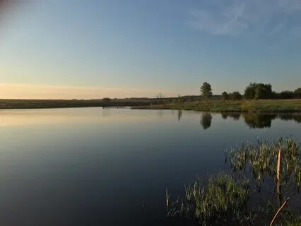 Каменка калужская