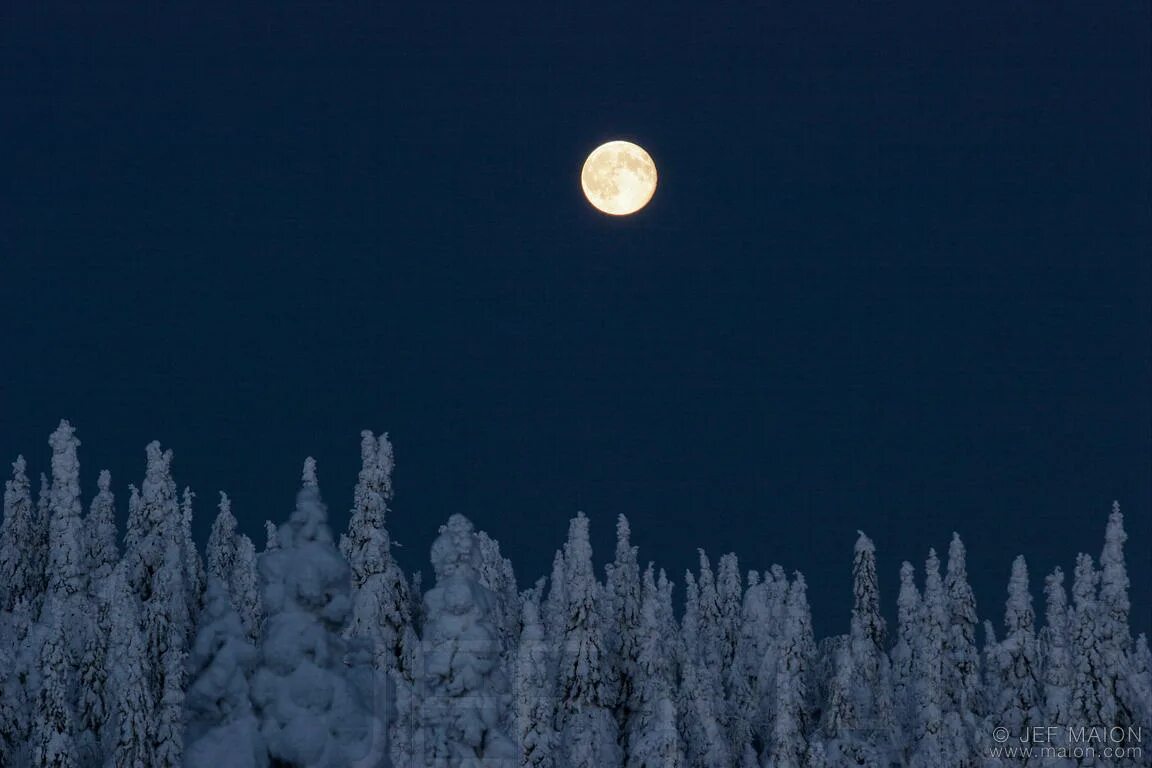 зима ночь. луна в зимнем небе. пейзаж с луной. снежная равнина есенин. луна зимой.