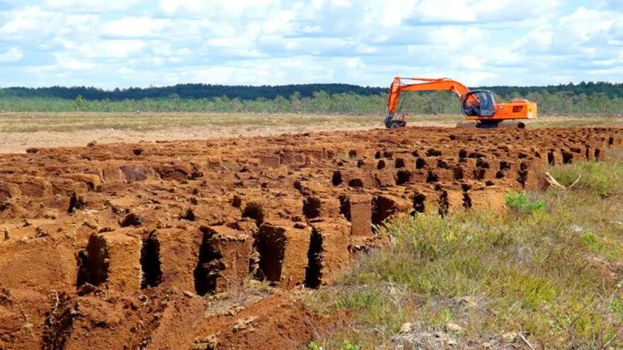 Добыча торфа в год. Добыча торфа в беларуси. добыча торфа в удмуртии.