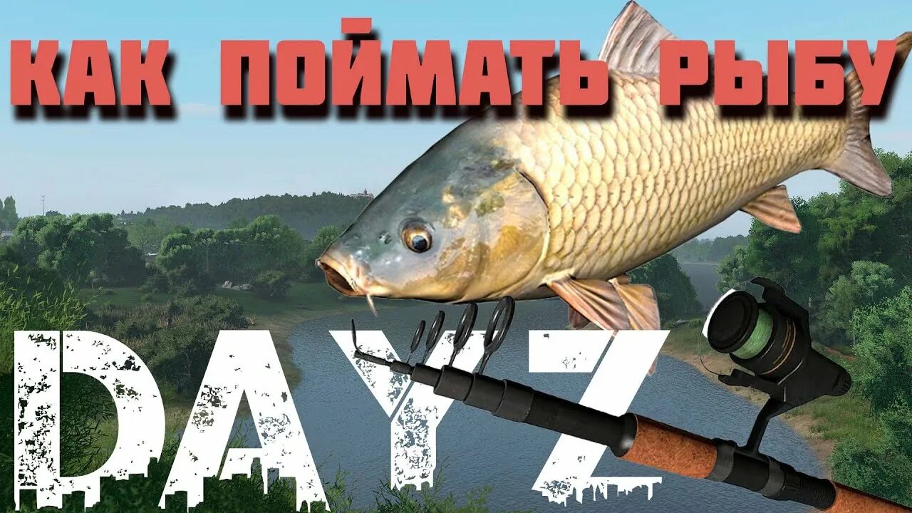 Как сделать удочку в дейз. Dayz рыбалка. рыба в дейз. крафт удочки дейз. дейз крафт рыболовной сети.