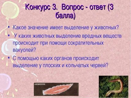 Выделения у животных 6 класс биология кратко