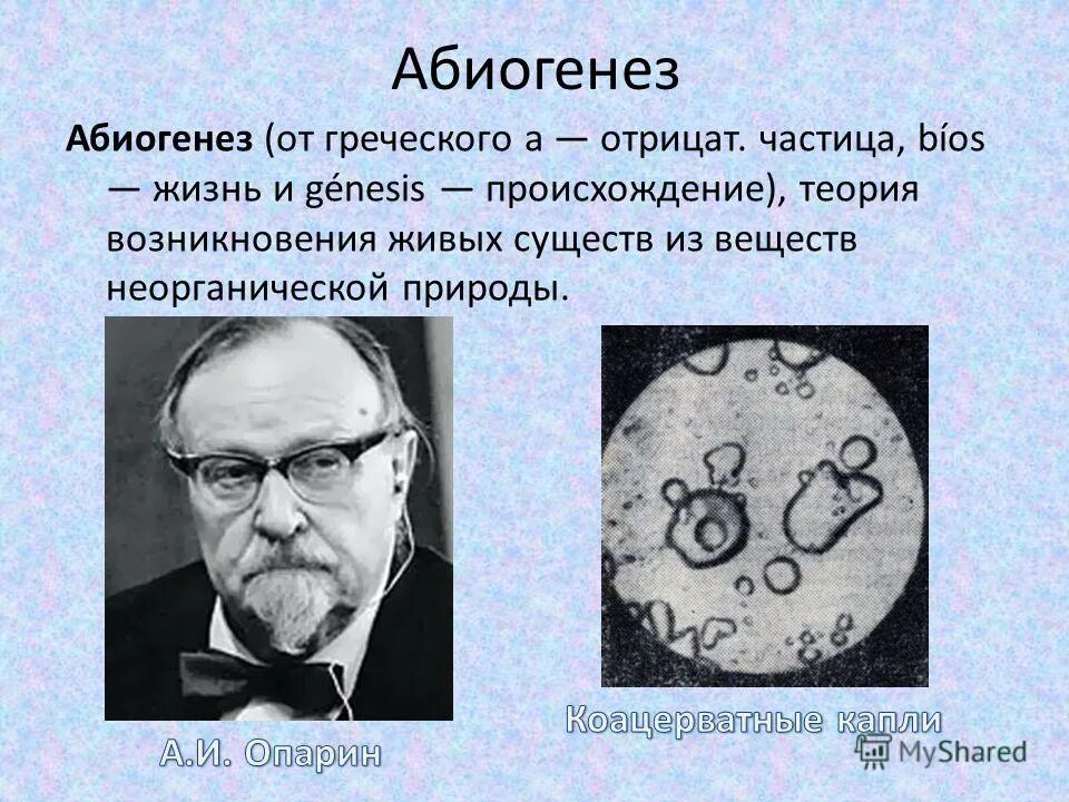 теория биогенеза. абиогенез презентация. доказательства теории абиогенеза. абиогенез процесс. положения абиогенеза.