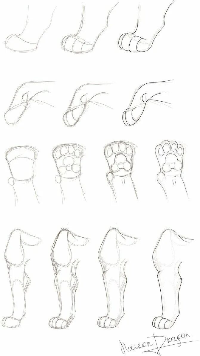 Как рисовать лапку. Референс лапа кота сбоку. Лапы кошки референс. Кошачьи лапы референс. Кошачьи лапы референс для рисования.