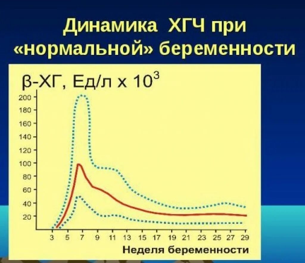 Уровень хорионического гонадотропина. ХГЧ при беременности. Динамика ХГЧ. Хч Ри беременности. Динамика ХГЧ при беременности.