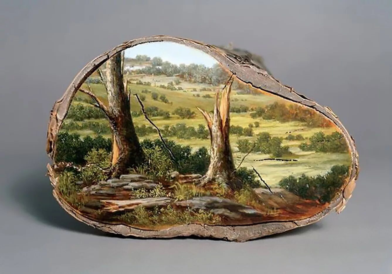 панно на спиле дерева. на срезе можно. роспись на срезе дерева. спил дерева f4150g. вяз поперечный срез.