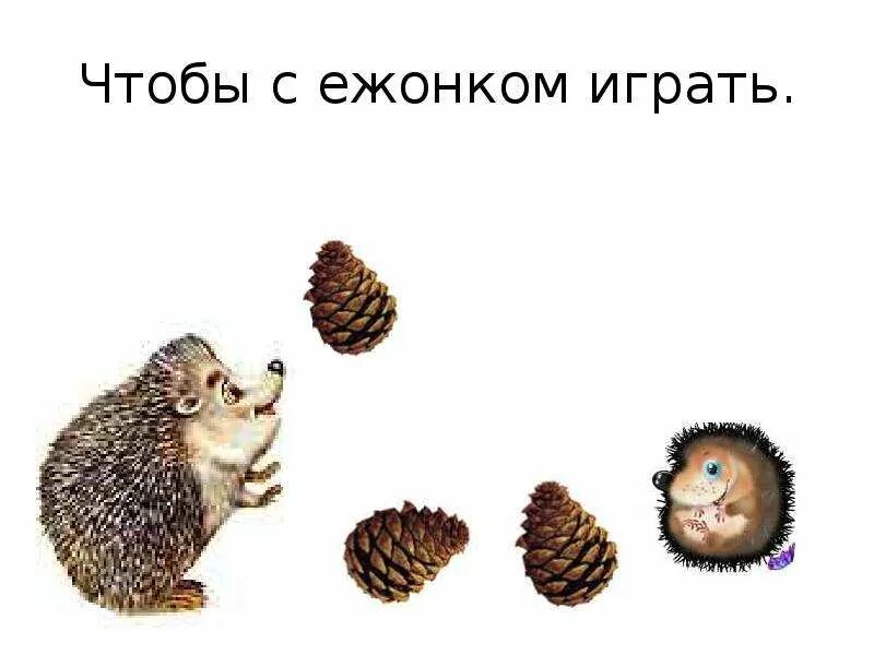 Ежонок суффикс. Повстречал ежонка еж пальчиковая гимнастика. картинки автоматизация ежонок. пальчиковая игра ежик повстречал ежонка еж. ё+ж+ж ёж ответ заниматика.
