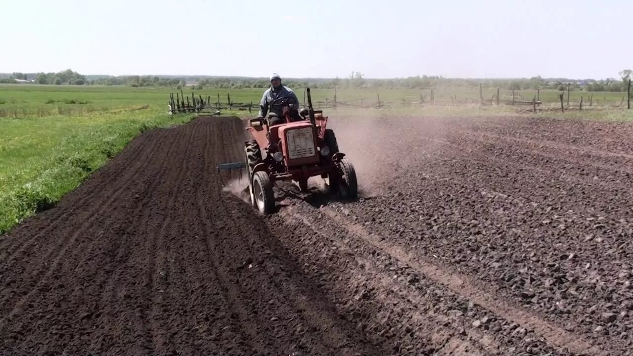 На какой передаче пахать. Вспашка плугом т 25. Трактор т 25 вспашка. Трактор т-25 пашет огород. Вспашка фрезой т 25.