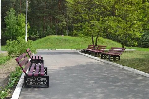 Сосновый бор курск