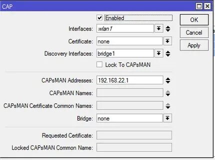 Capsman 7.13