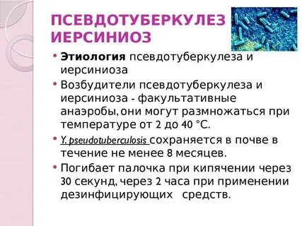 Псевдо туберкулез