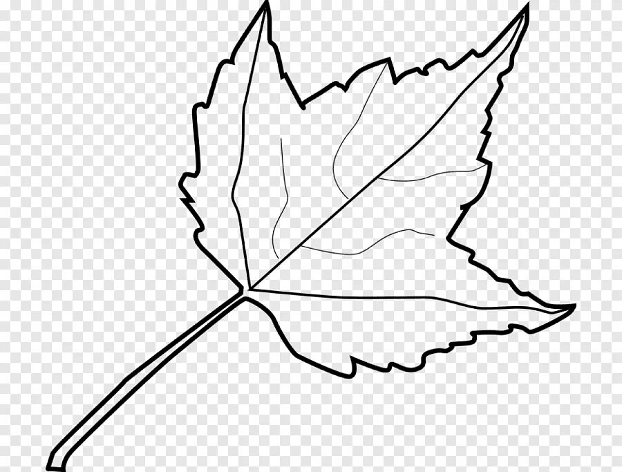 Черно белые картинки листьев. Листья рисунок. Листья контур. Рисунки осенних листьев. Листья раскраска.