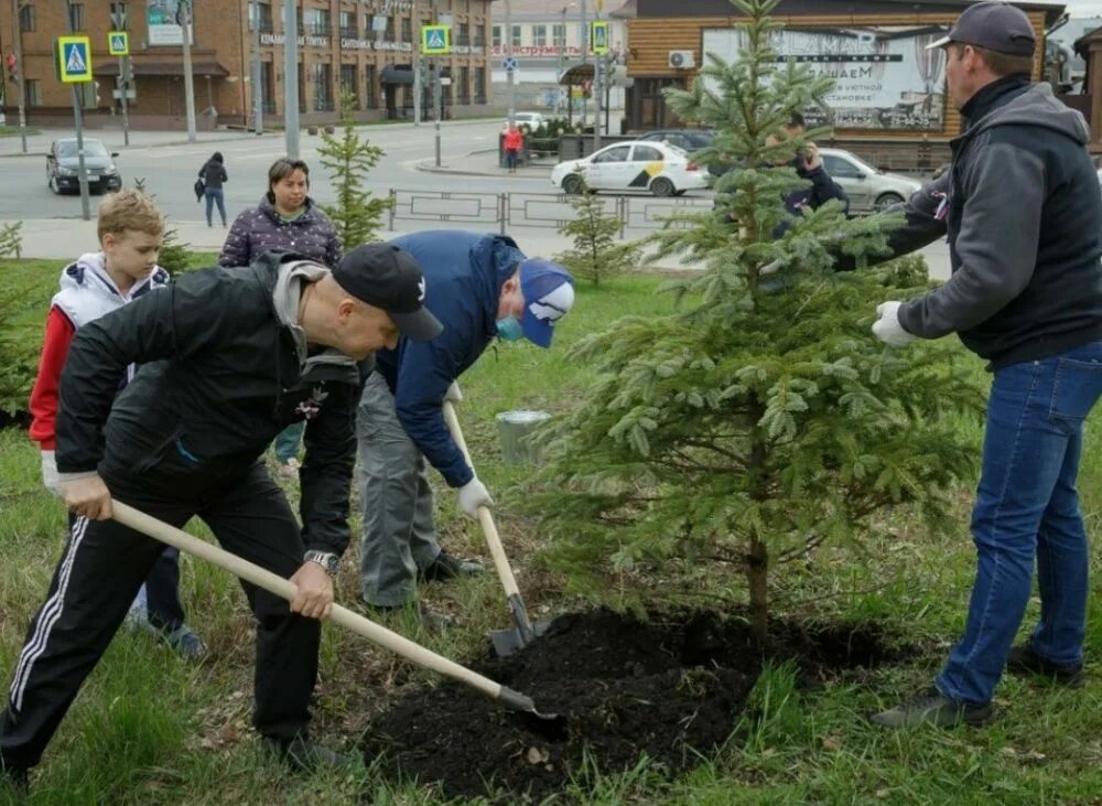 Разбитый сад. Сад памяти Березники высадка деревьев. Разбитый садик в жилом районе. Высадили деревья в селе Яр-Сале напротив полиции. Вриньо и брише разбили сады.