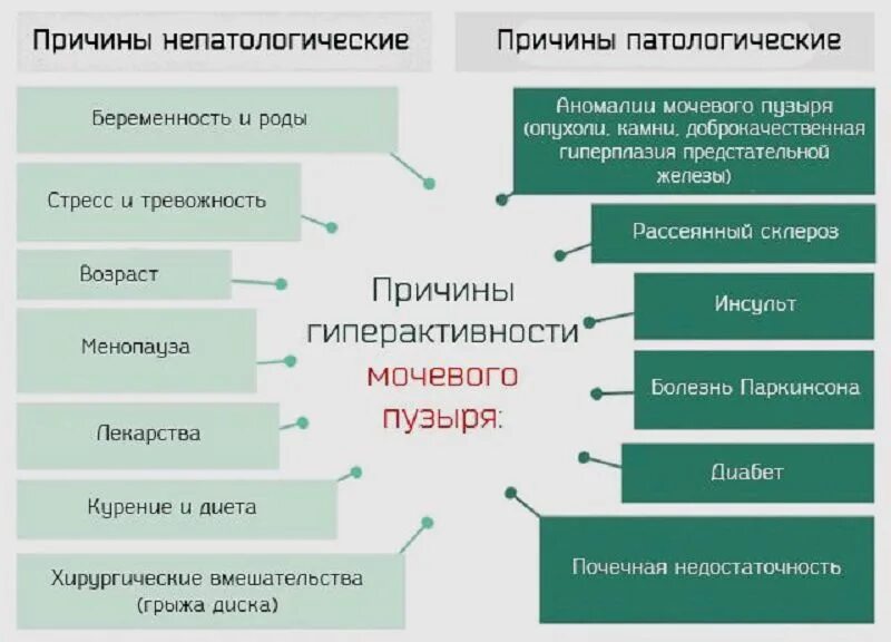 Подкашливает как пишется. Продолжительный кашель причины. Причины кашля у взрослого. Энурез причины. Причины долгого кашля.