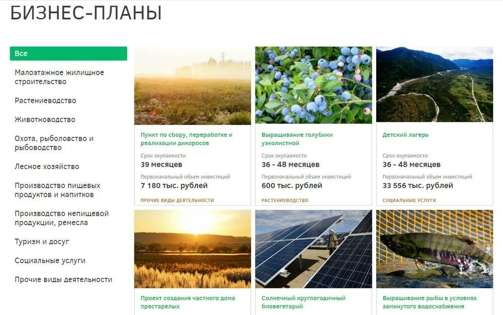 Как получить гектар земли на дальнем востоке. Бизнес о дальневосточном гектаре. гектар земли каждому россиянину. дальневосточный гектар успешный проекта. дальневосточный гектар успешные истории.