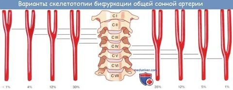 Бифуркации обеих оса