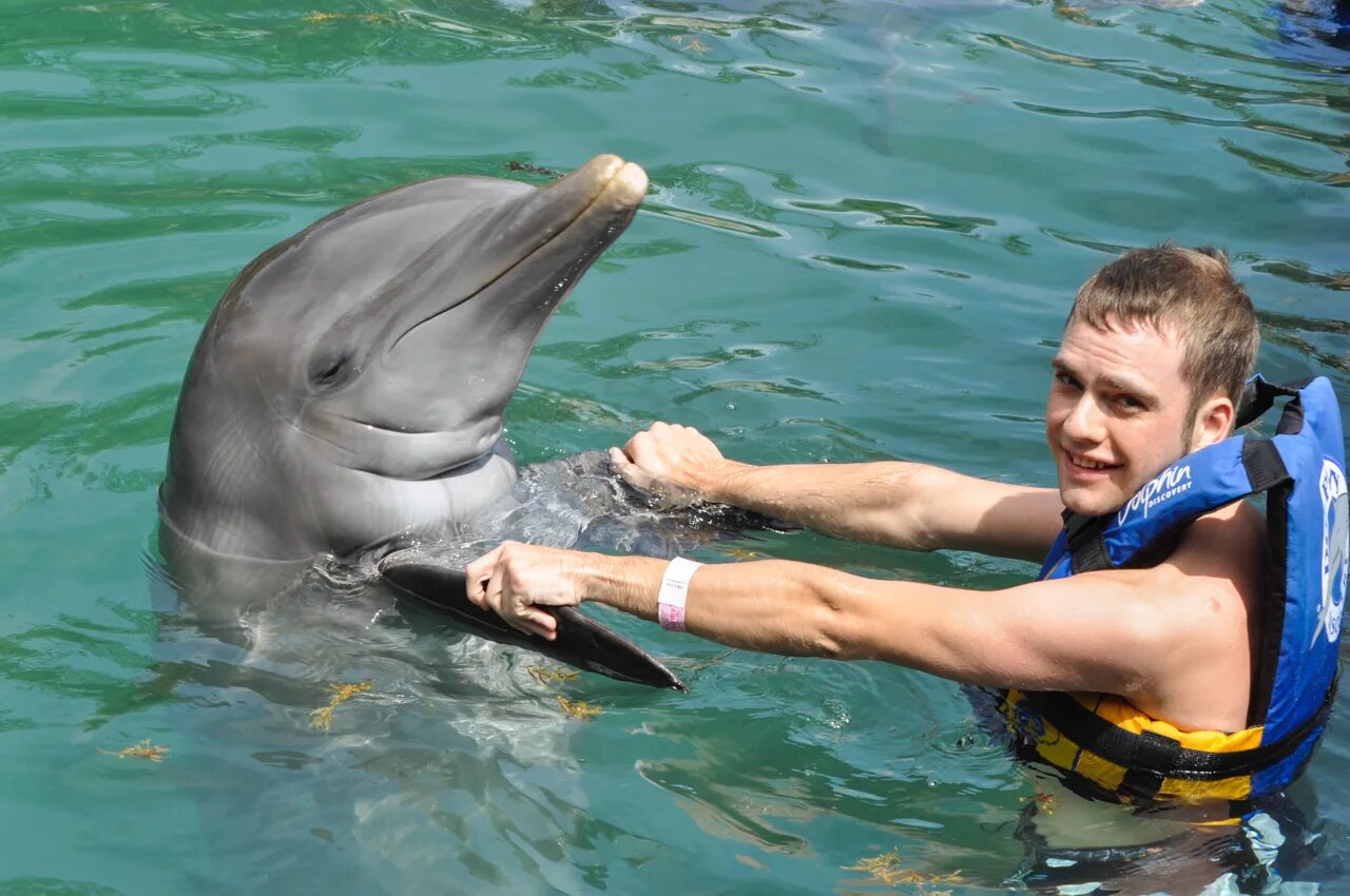 Есть ли дельфин людей. Человек Дельфин. Дельфины и люди. Разумные дельфины. Человек и Дельфин разум.