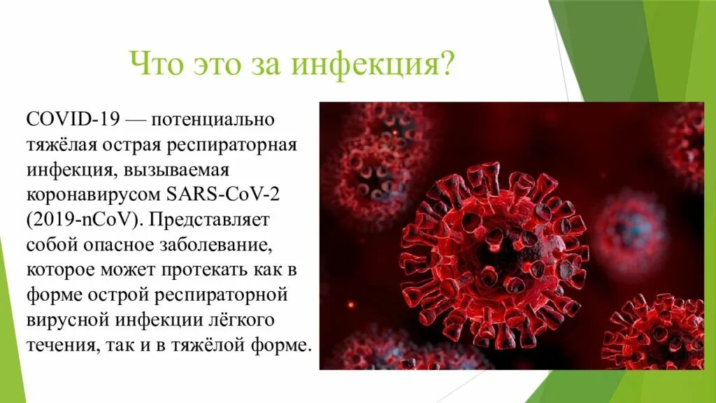 Возбудители пикорнвирусной инфекции. Короновирусная инфекция вызывается. Вирусные заболевания коронавирус. Презентация на тему коронавирусная инфекция.