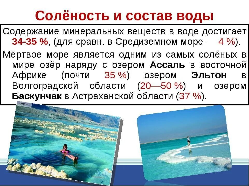 Море миру соль. Соленость мертвого моря. мёртвое море солёность воды в промилле. мёртвое море солёность воды. мёртвое море саленость.