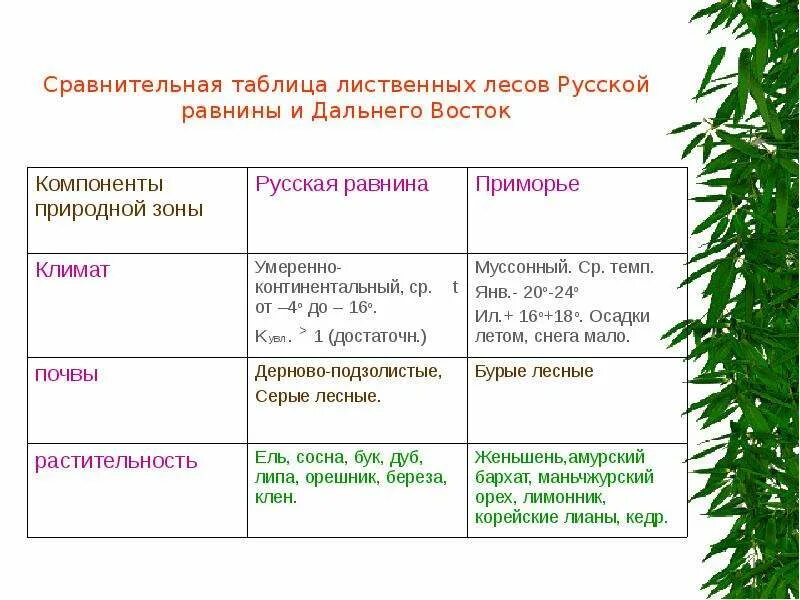 Природная зона тайга таблица 8. Лиственные леса таблица. Лесные зоны таблица. Таблица зона лесов 8 класс. Природные зоны россии таблица.