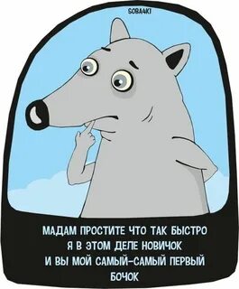 Про серенького волчка