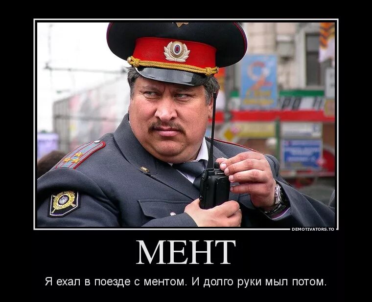 Почему ментов называют ментами. Смешной мент. Мент поганый. Противный мент. Мент картинка.