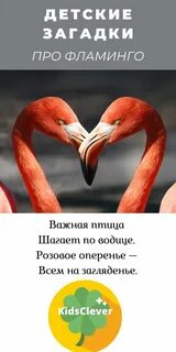 Стих про фламинго