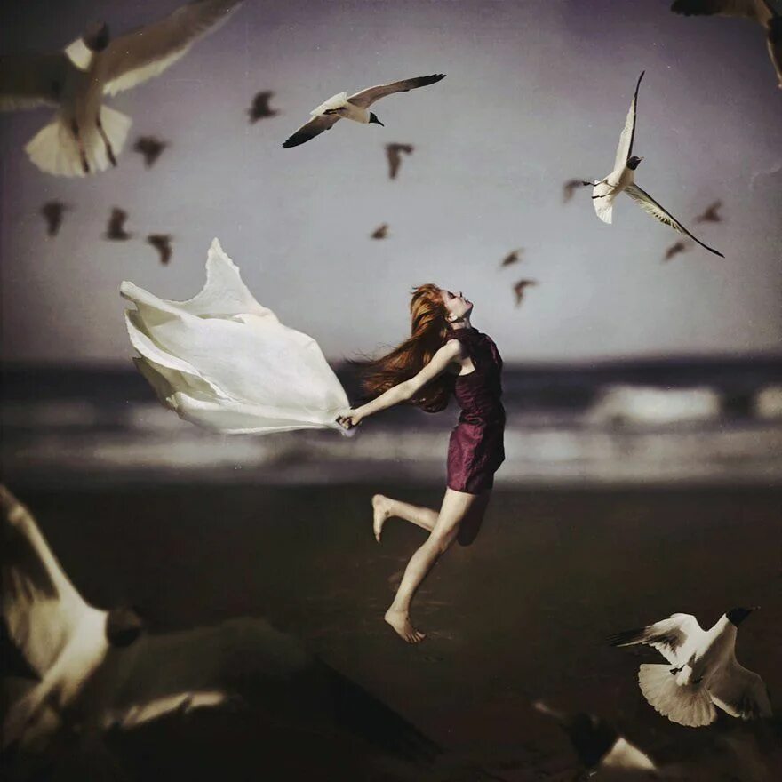 мы летели как птички но попали. птица летит. клин диких гусей. птица свободы. перелётные птицы журавлиный клин.