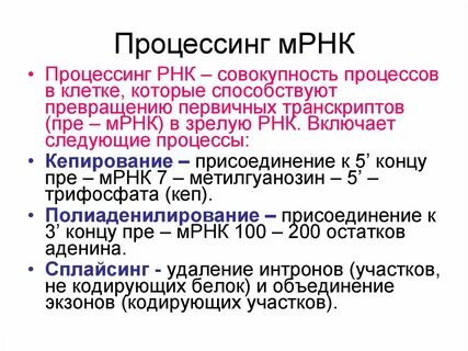 Этапы процессинга ирнк
