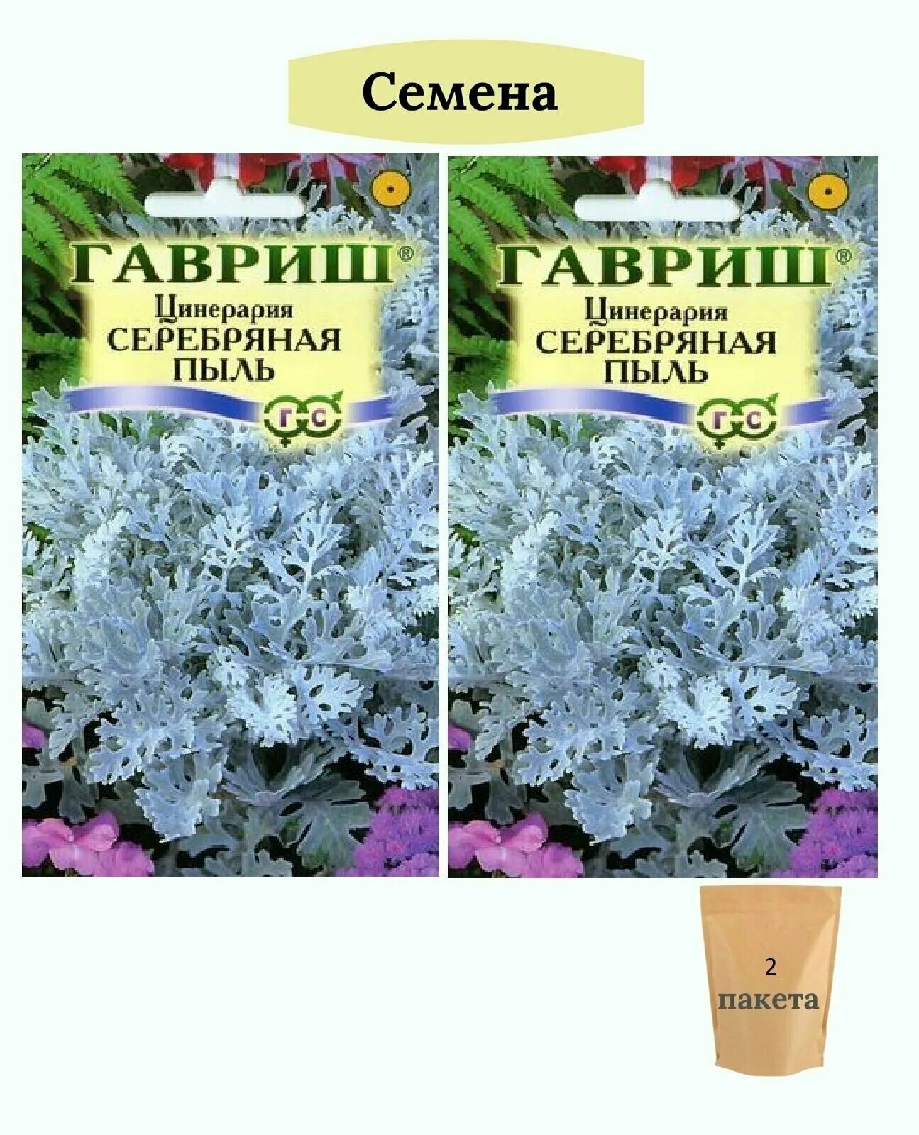 Цинерария серебряная пыль. Цинерария Приморская серебряная пыль. Цинерария серебряная пыль (Приморская)* 0,05 г. Гавриш серебряная пыль. Цинерария Кровавая высокорослая смесь.