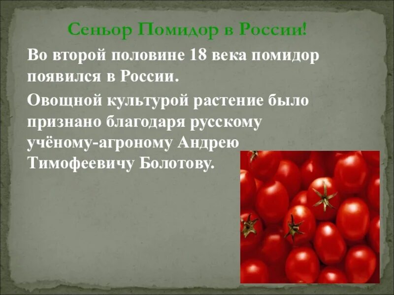 Музыка 18 века помидор. Помидор для презентации. Сообщение о помидоре. Культурное растение томаты описание. О помидорах кратко.