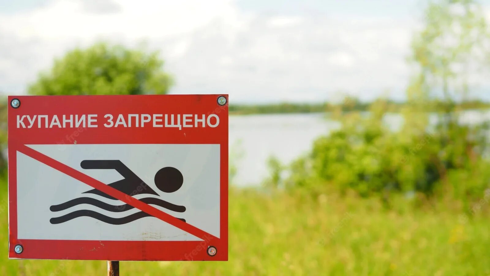 Знак купаться запрещено картинка для детей. Купание запрещено. Знак «купаться запрещено». Запрещено купаться в водоемах. Знаки запрещающие купание в водоемах.