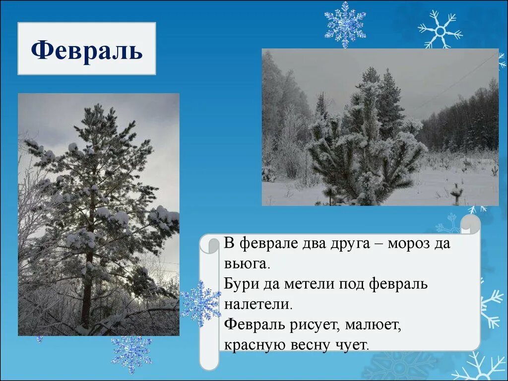 Слова про мороз. Два друга Мороз да вьюга. Февраль Мороз вьюга. Сошлись два друга Мороз и вьюга. Вьюги да метели под февраль.