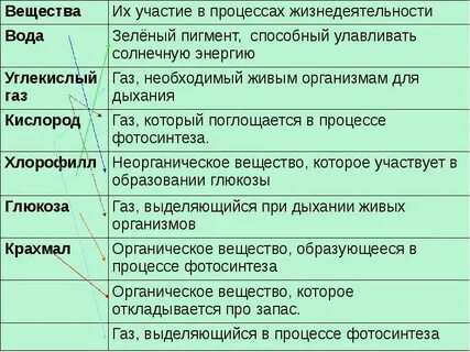 Процессы жизнедеятельности организмов 5 класс кратко