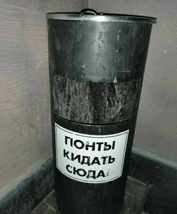 Я нагулялась. Кидай сюда. Мемы про гусей. Кидай мяч мем. Кидай сюда.