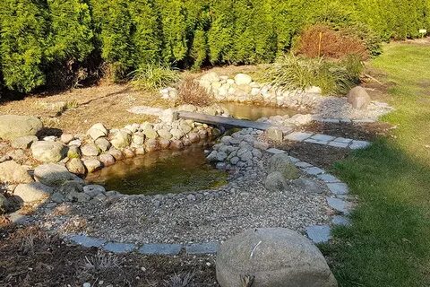 Пруд пруди предложение