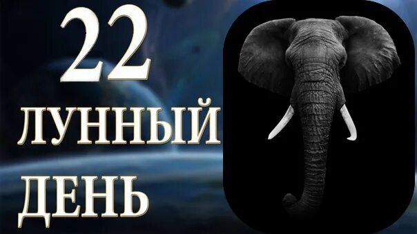 Какая сейчас стадия: найдено 17 изображений