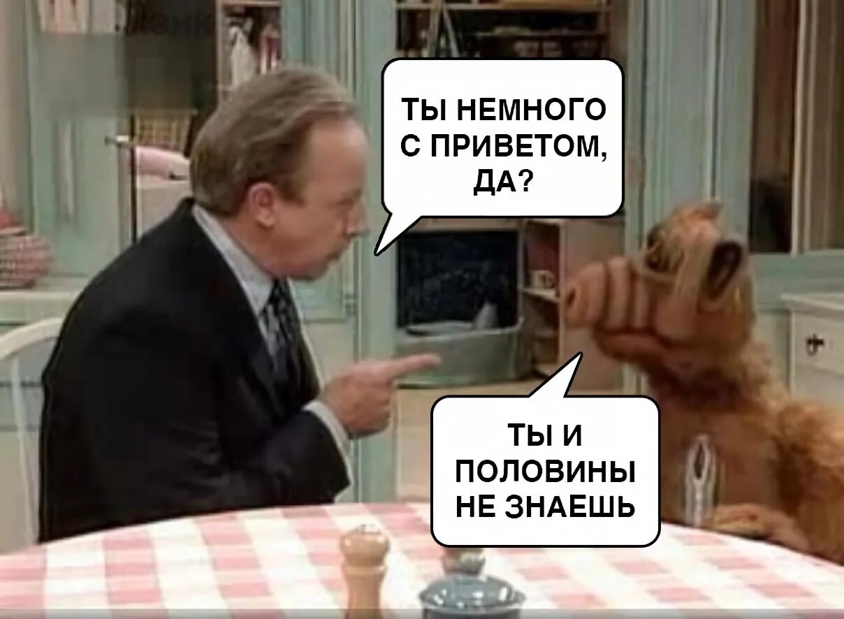 Привет да я тебя хочу. Ты и половины не знаешь альф. ты и половины не знаешь. альф мем. немного с приветом.