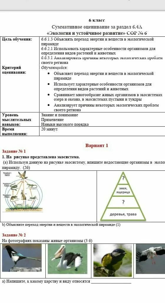 Естествознание 6 класс сор 1 за 2 четверть. Сор по естествознанию 6 класс 3 четверть. Сор по естествознанию 3 класс 2 четверть с ответами. Темы по естествознании 5 класс и 6 класс. Соч естествознание 4 класс 3 четверть