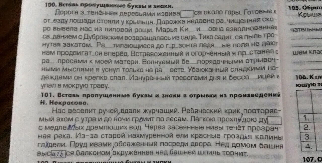Дорожка вывела нас из липовой рощи. Тропа в березовой роще. Реликтовая липовая роща. Лес на ворскле белгородская область. Недавно расчищенная дорожка.