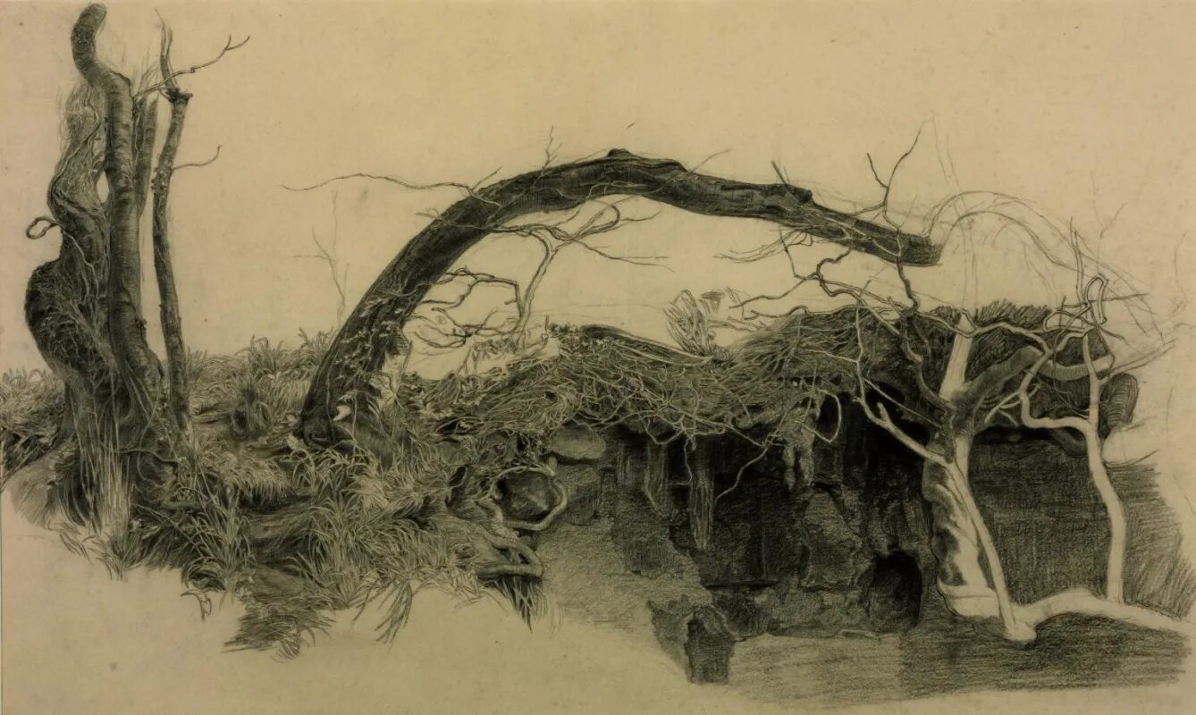 John tree