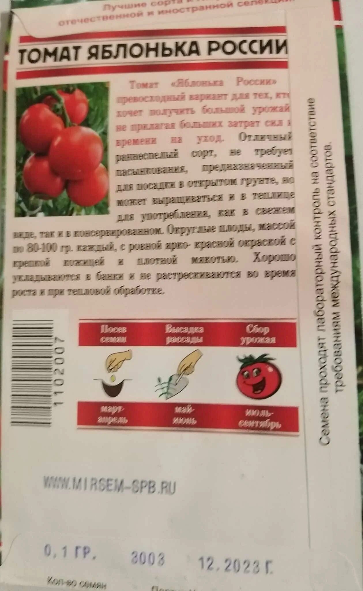 Сорт яблонька россии отзывы. Яблонька России томаты рассада. Томаты сорт Яблонька России. Сорт помидоров Яблонька России. Томаты Яблонька России описание сорта.