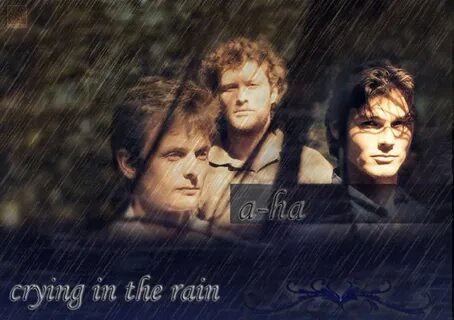 A ha crying in the rain