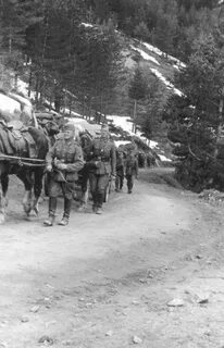 Кампания 1941