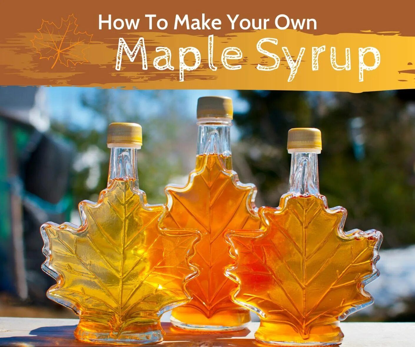 Есть кленовый сироп. Кленовый сироп maple syrup. сироп канадского клена. канада кленовый сок. кленовый сироп канада.